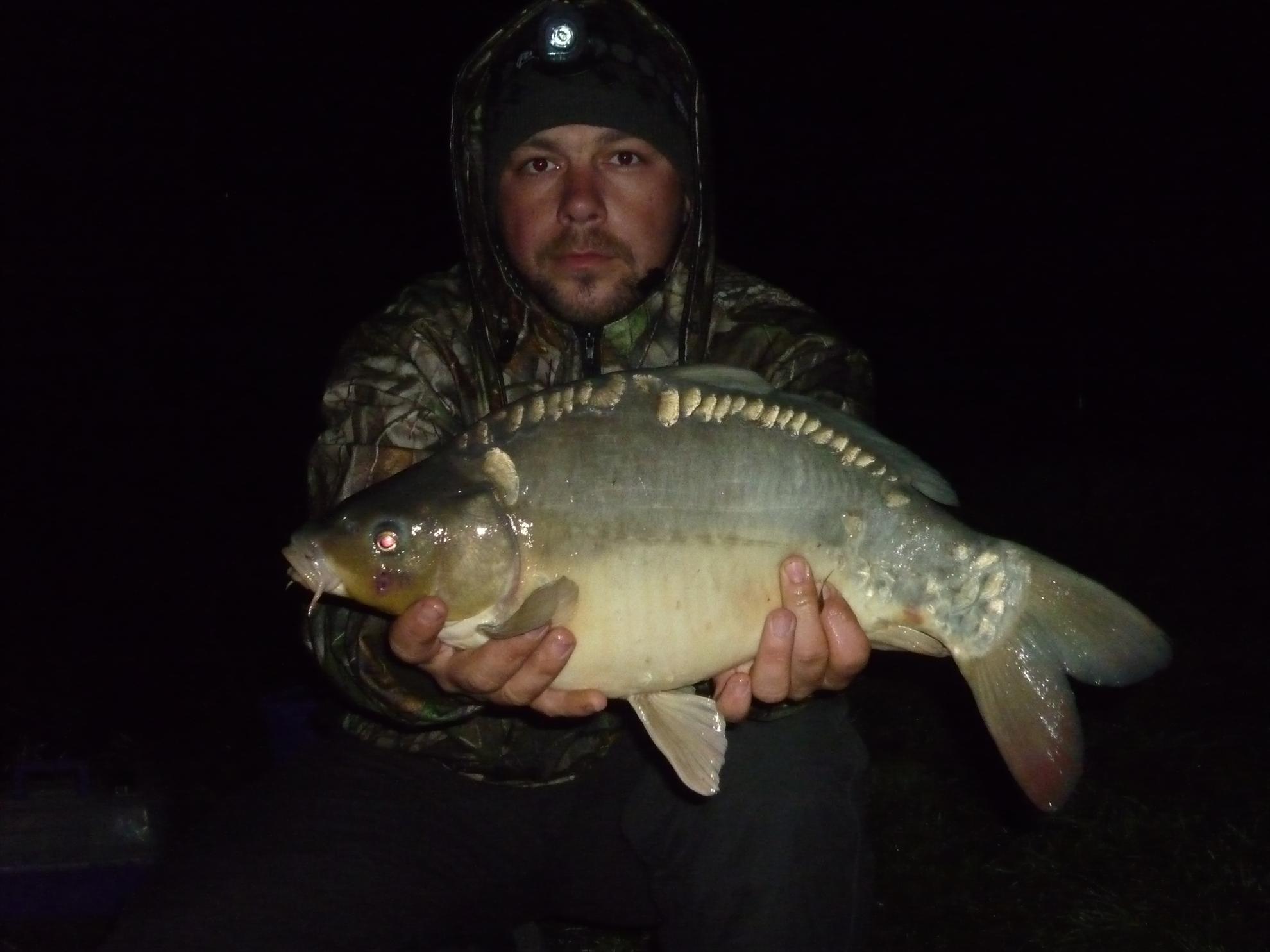 Stejeris 2011 - p1010989.JPG